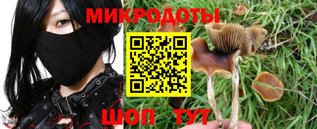 Псилоцибиновые грибы Magic Shrooms Нижнеудинск